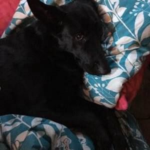 Meet your Posher, Hilda